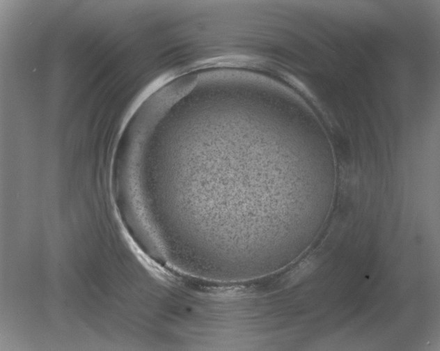 X0000078861426200611201302