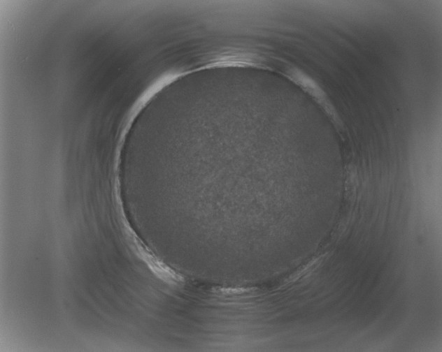 X0000078861427200611201302