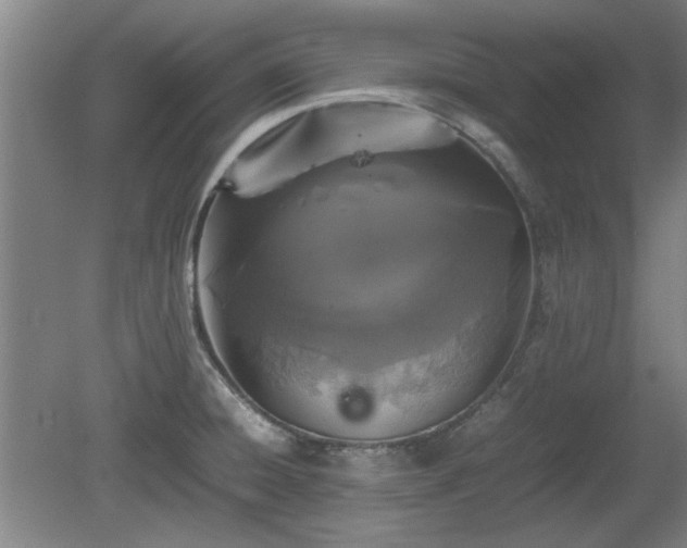 X0000078861428200611201302