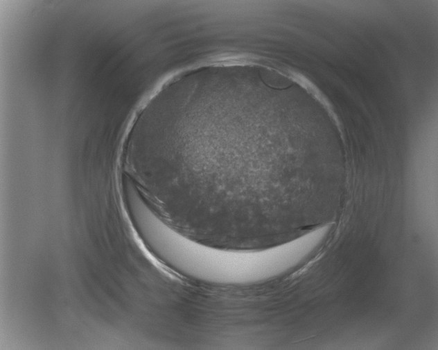 X0000078861429200611201302