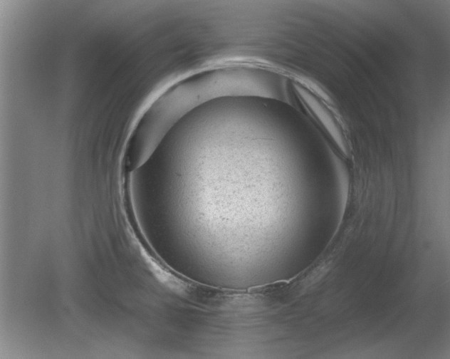 X0000078861430200611201302