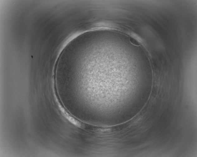 X0000078861431200611201302