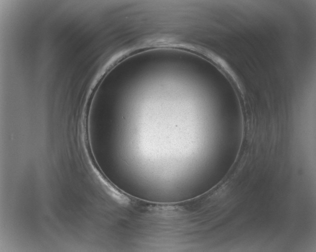 X0000078861432200611201302