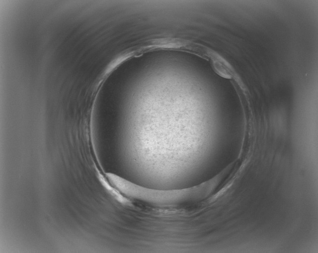 X0000078861433200611201302