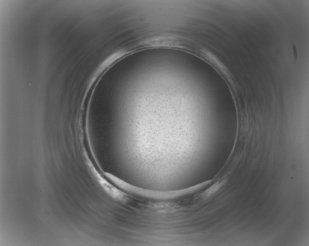 X0000078861434200611201302