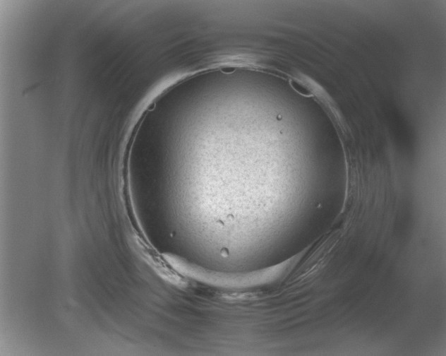 X0000078861435200611201302