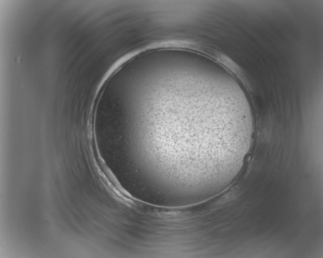 X0000078861436200611201302