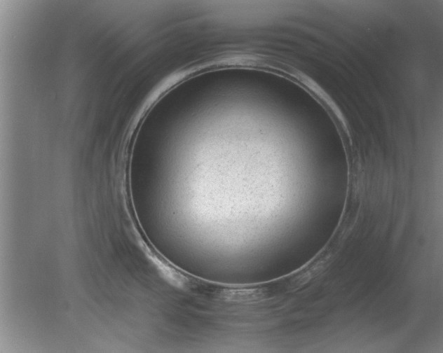 X0000078861437200611201302