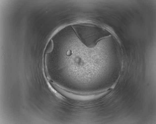 X0000078861439200611201302