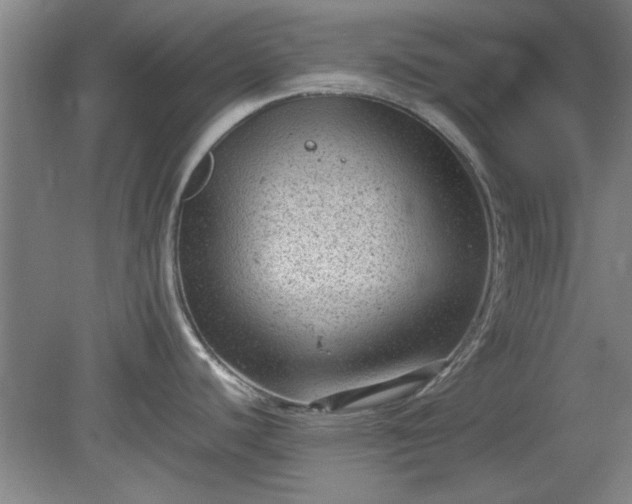 X0000078861440200611201302