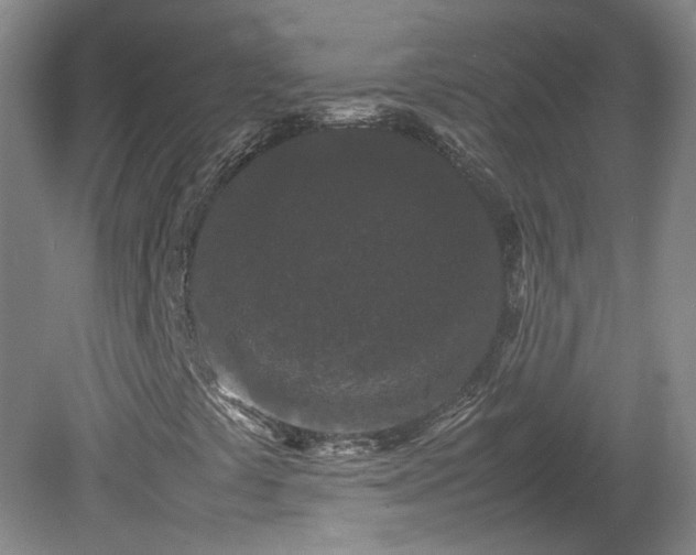 X0000078861441200611201301