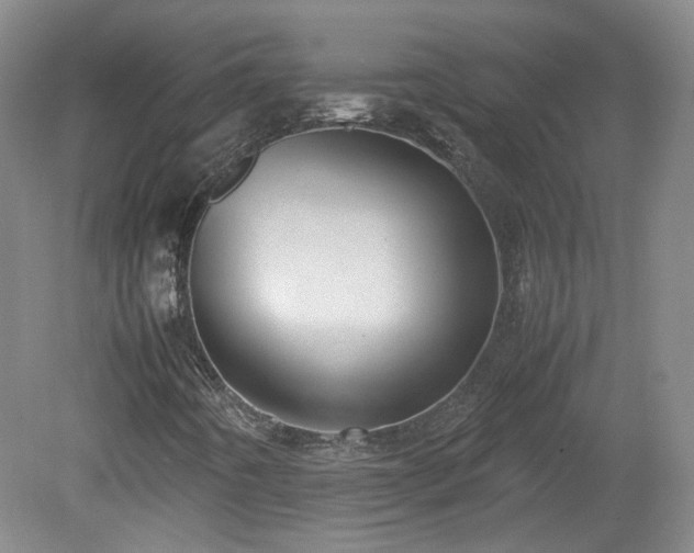 X0000078861442200611201301