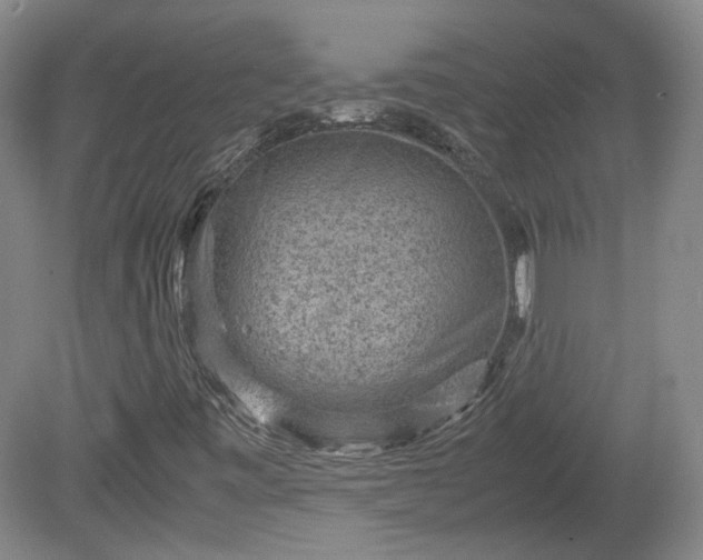 X0000078861443200611201301