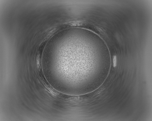 X0000078861444200611201301