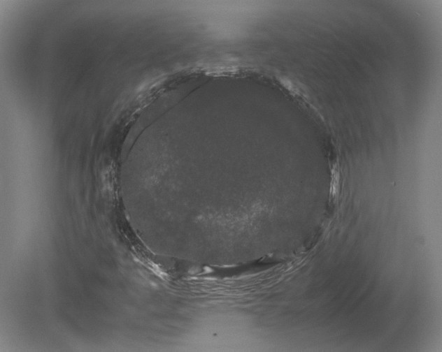 X0000078861445200611201301