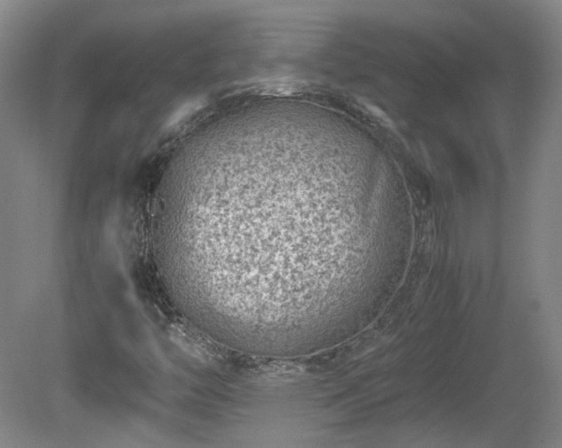 X0000078861446200611201301