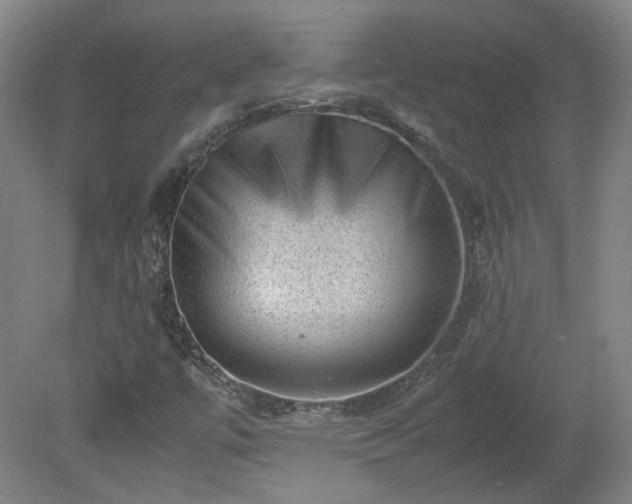 X0000078861447200611201301