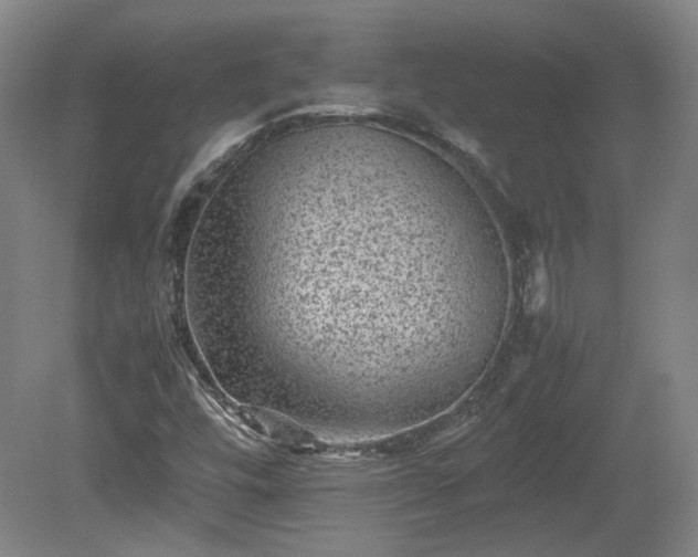 X0000078861448200611201301