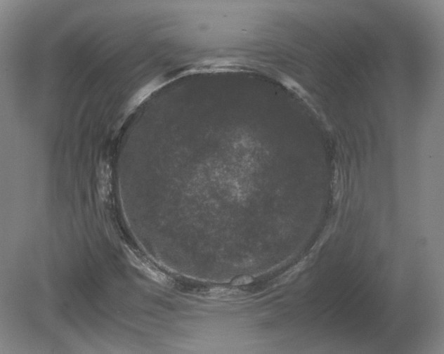 X0000078861449200611201301