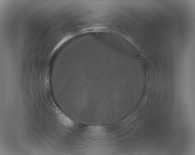 X0000078861450200611201301