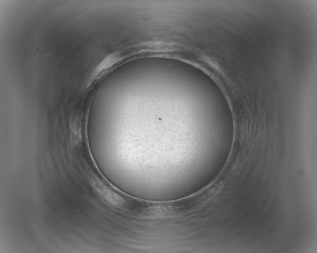 X0000078861451200611201301