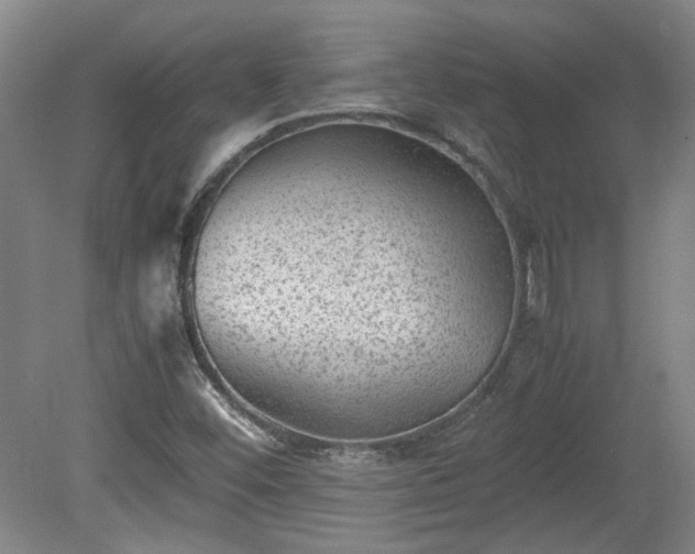 X0000078861452200611201301