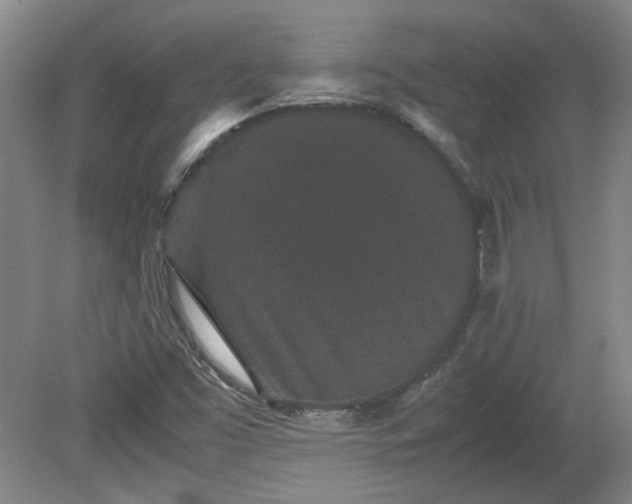 X0000078861453200611201301