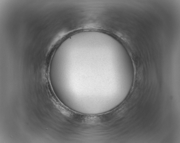 X0000078861454200611201301