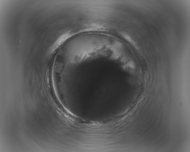 X0000078861455200611201301