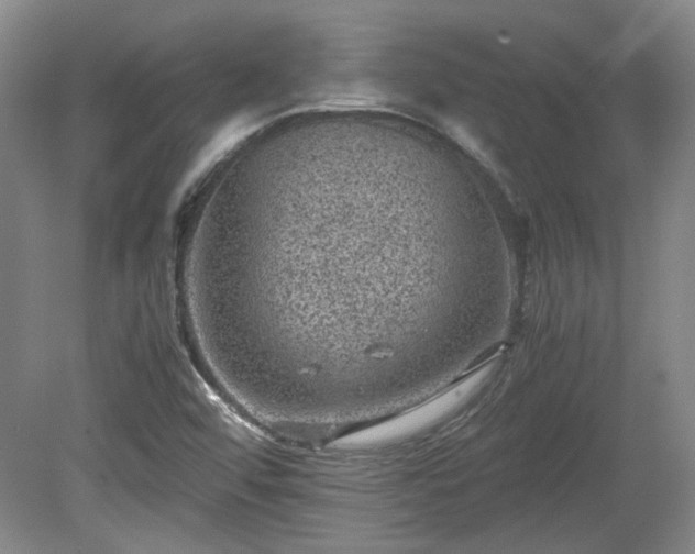 X0000078861456200611201301