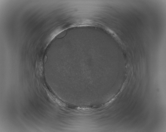 X0000078861457200611201301