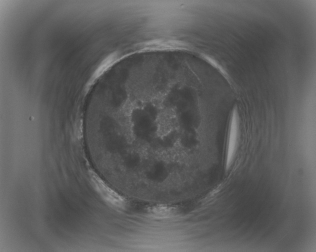 X0000078861459200611201301