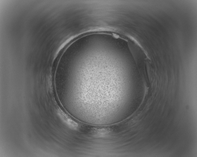 X0000078861460200611201301