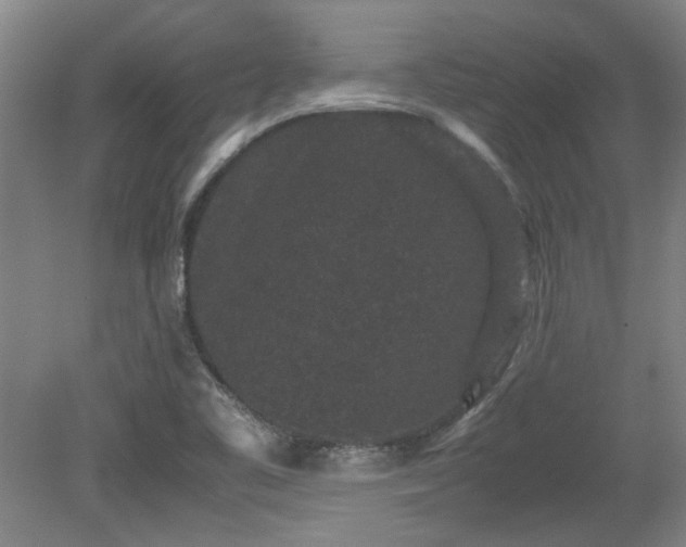 X0000078861461200611201301