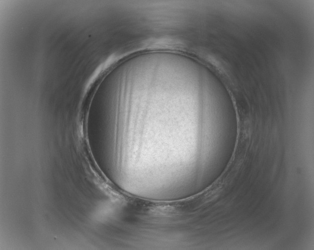 X0000078861462200611201301