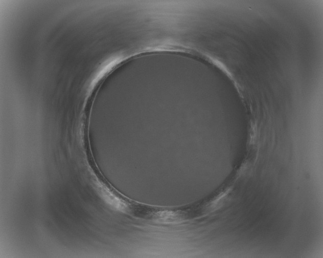 X0000078861463200611201301