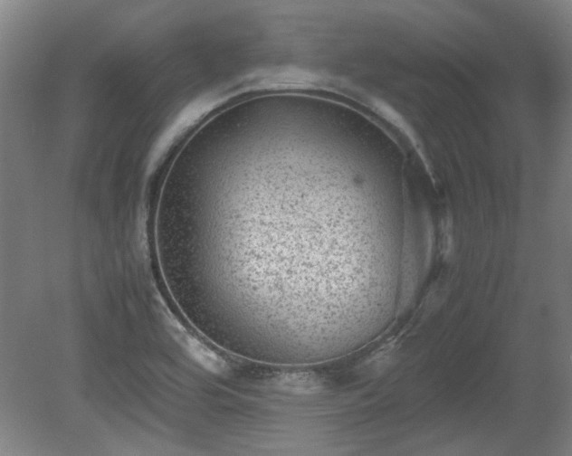 X0000078861464200611201301