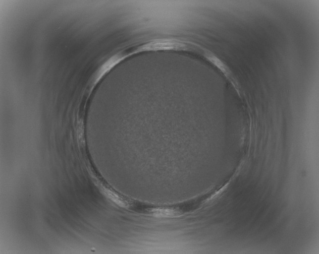 X0000078861465200611201301