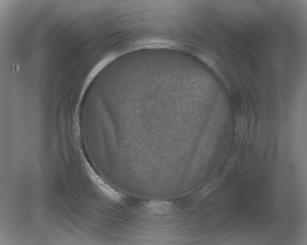 X0000078861466200611201301