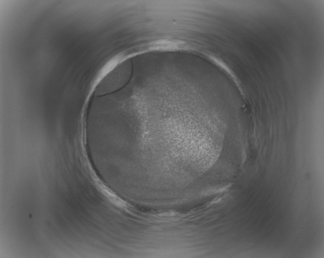 X0000078861467200611201301