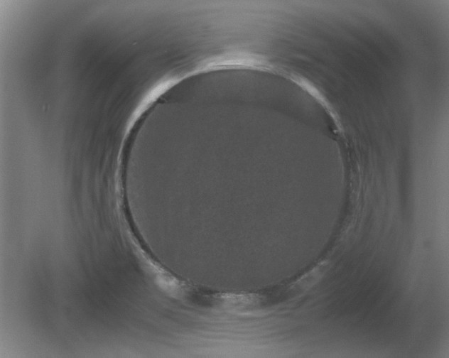 X0000078861469200611201301