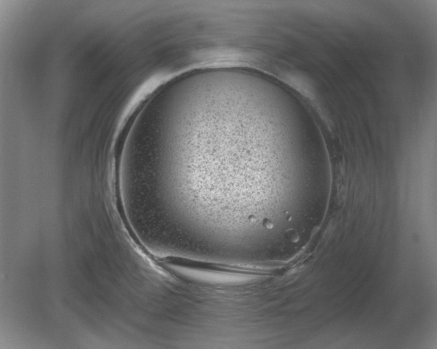 X0000078861472200611201300