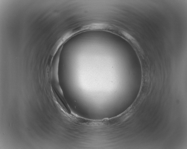 X0000078861473200611201300