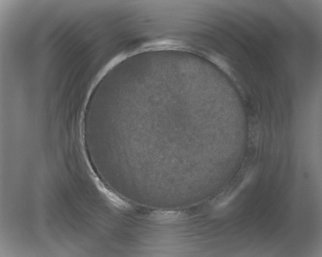 X0000078861474200611201300