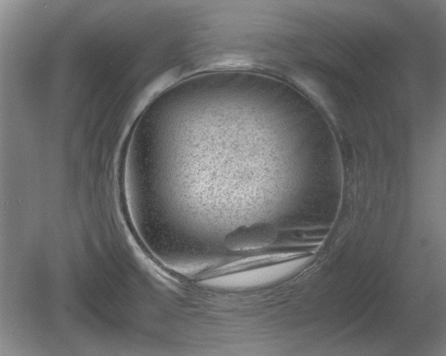 X0000078861475200611201300