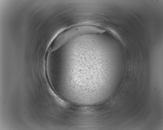 X0000078861476200611201300