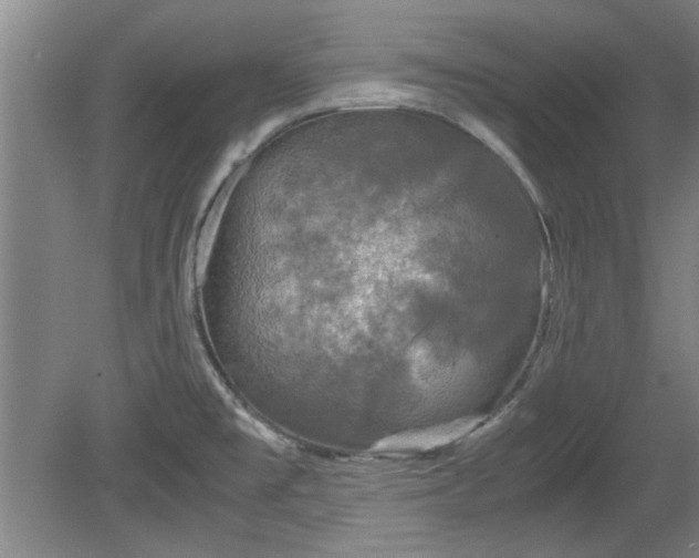 X0000078861477200611201300