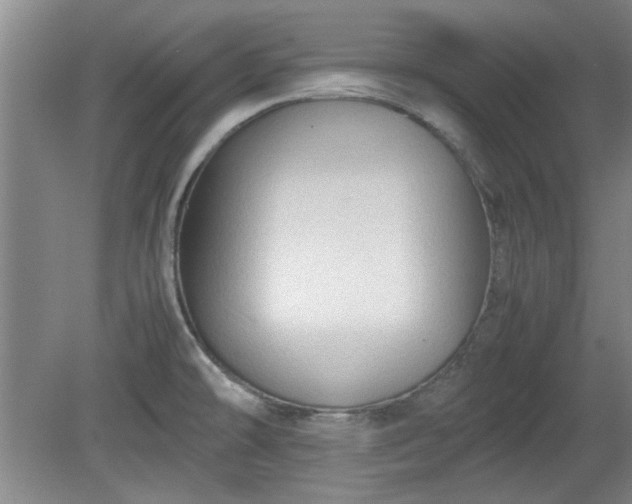 X0000078861478200611201300