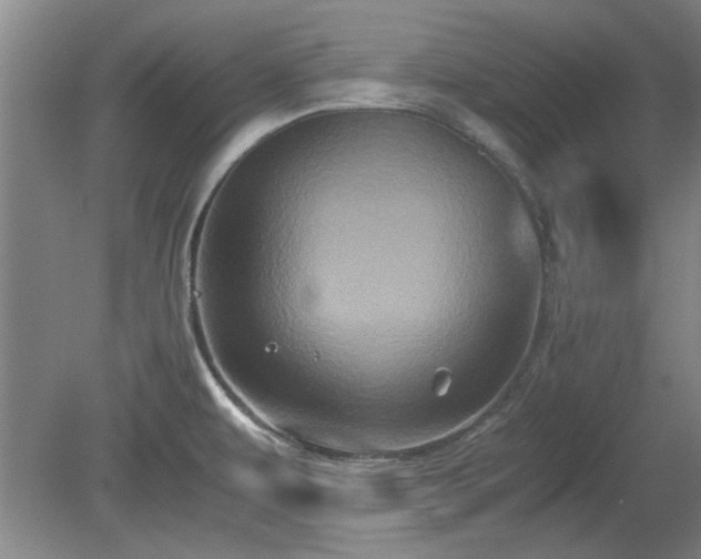 X0000078861479200611201300