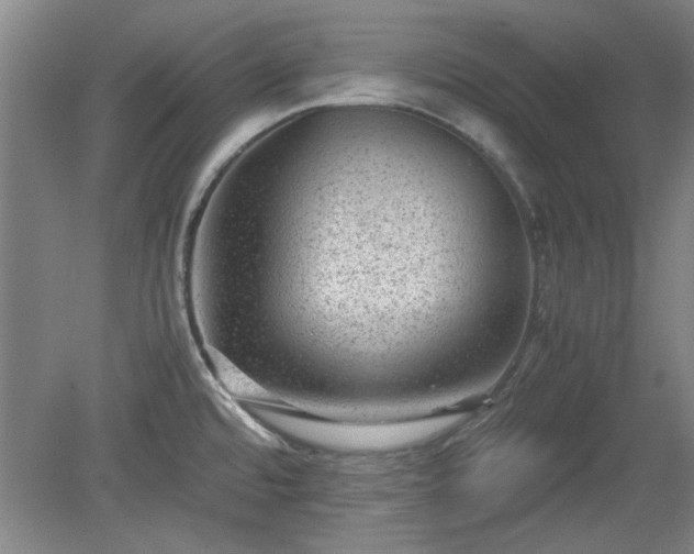 X0000078861480200611201300